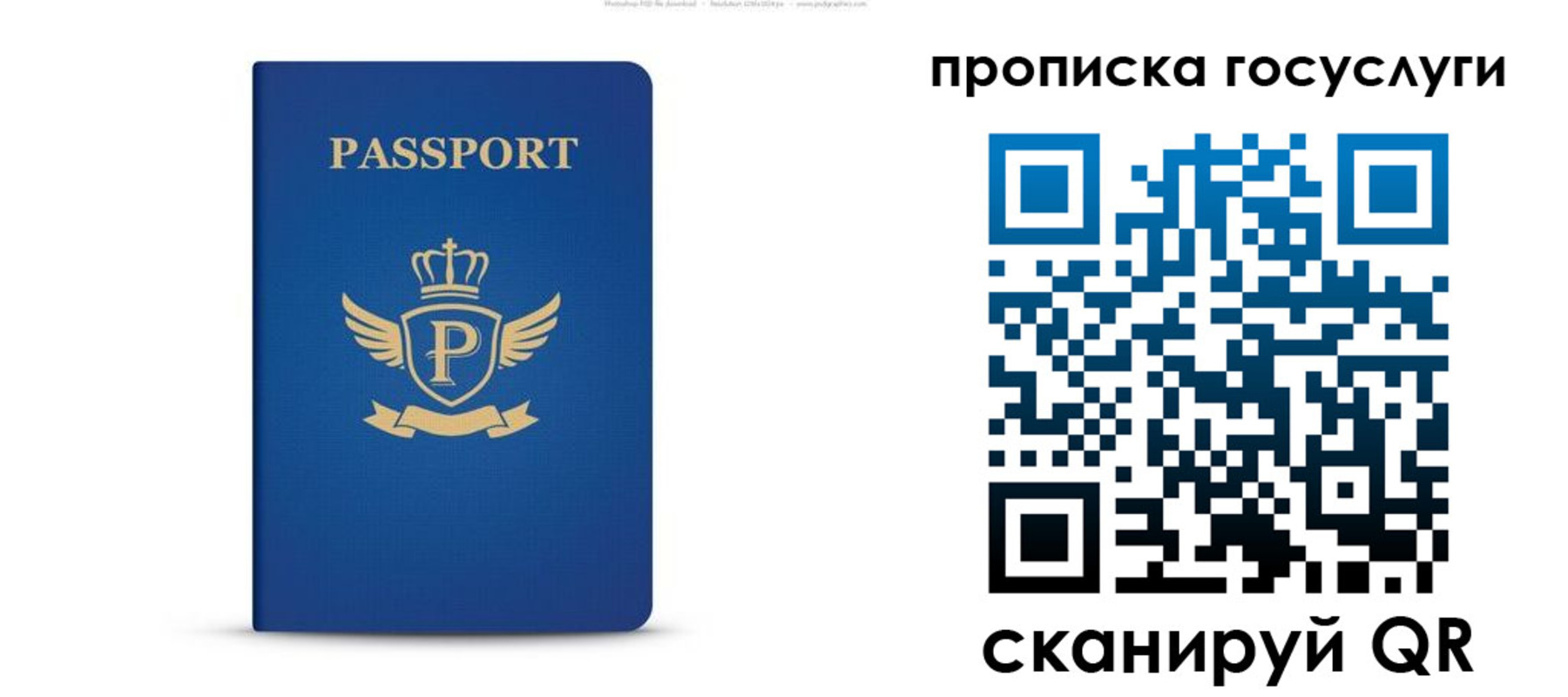 прописка для школы в Красногорске